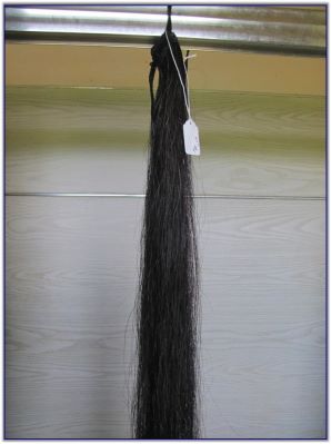 Tail switches for Saddlebred horses or Quarter horses or Mules for sale.