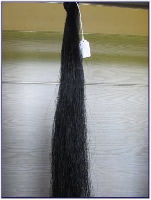 Tail switches for Saddlebred horses or Quarter horses or Mules for sale.