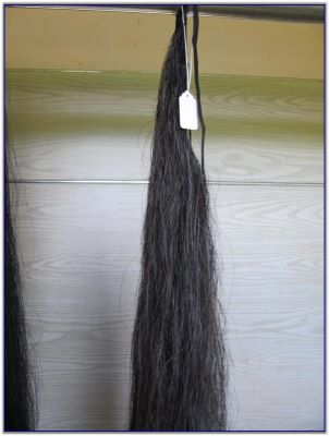 Tail switches for Saddlebred horses or Quarter horses or Mules for sale.