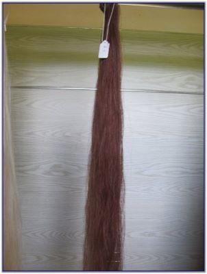 Tail switches for Saddlebred horses or Quarter horses or Mules for sale.