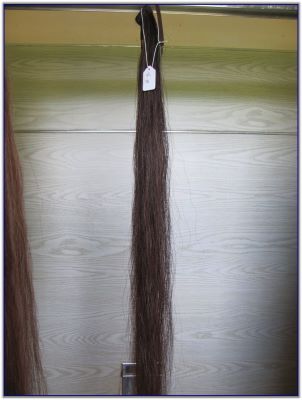 Tail switches for Saddlebred horses or Quarter horses or Mules for sale.