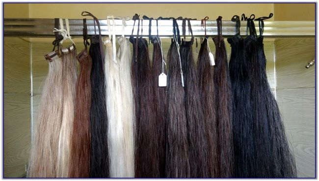 Tail switches for Saddlebred horses or Quarter horses or Mules for sale.