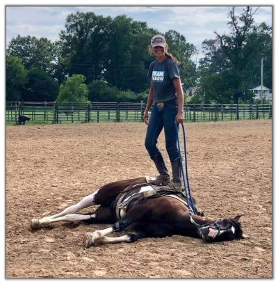 Reagon Box, Horse Trainer at Peavine Creek Farm in Ringgold, Georgia.