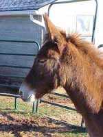 Sexi Lexi (5801 bytes)