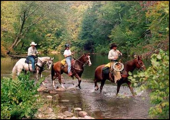 Call for Trail Riding Information!