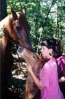 Lucy Lane, Molly & Kara (6251 bytes)